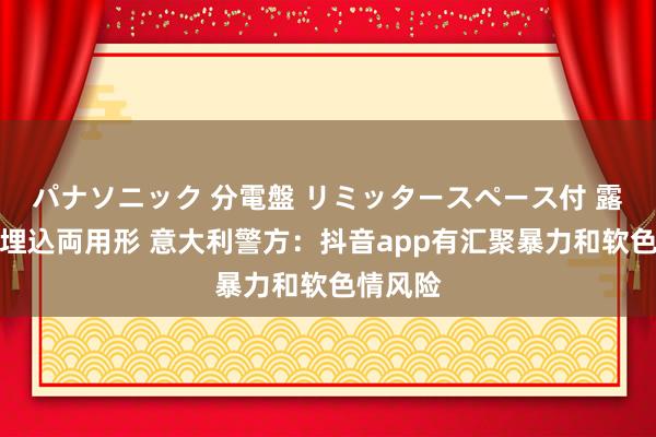 パナソニック 分電盤 リミッタースペース付 露出・半埋込両用形 意大利警方：抖音app有汇聚暴力和软色情风险