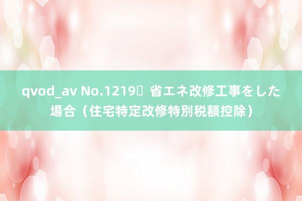 qvod_av No.1219 省エネ改修工事をした場合（住宅特定改修特別税額控除）